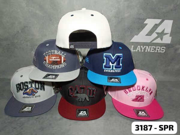 Layner's