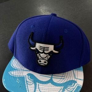 Chicago Plana premium