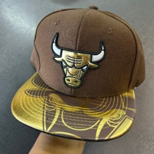 Chicago Plana premium