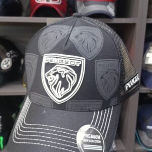 Camión Scania Truck