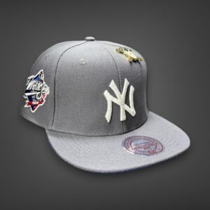 New Era Planas premium