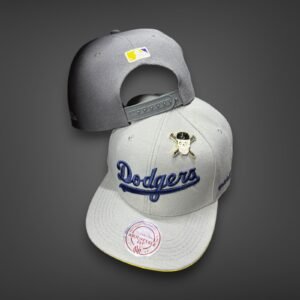New Era Planas premium
