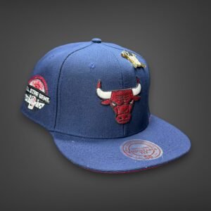 New Era Planas premium