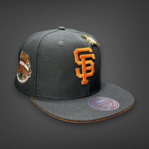 New Era Planas premium