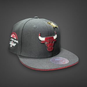 New Era Planas premium