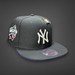 New Era Planas premium