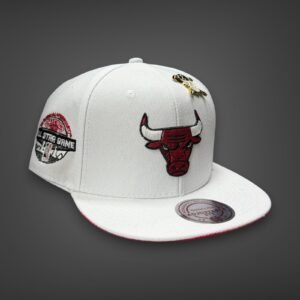 New Era Planas premium