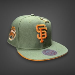 New Era Planas premium