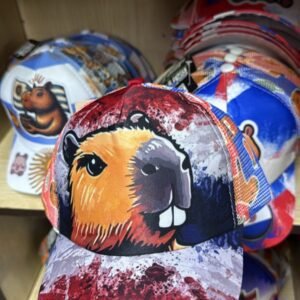 Gorra de Niños