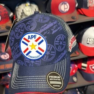 Fútbol APF