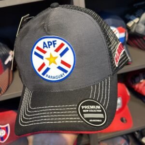 Fútbol APF