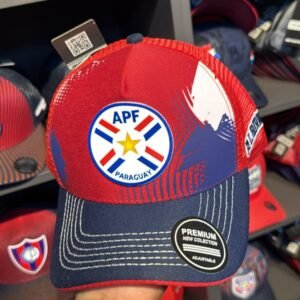 Fútbol APF